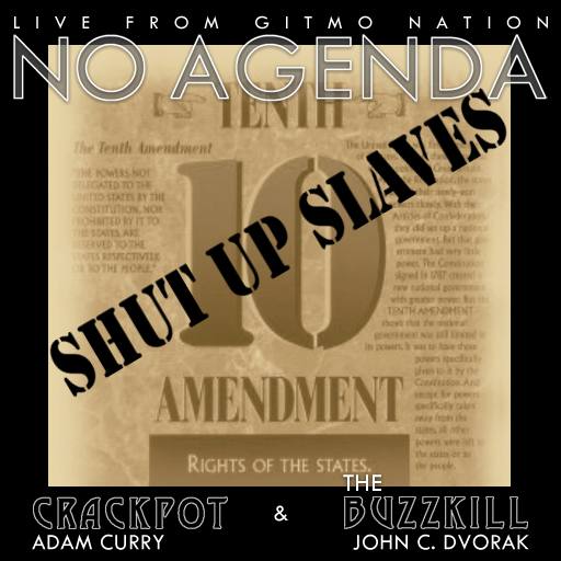 10th Amendment by SiliconSpin