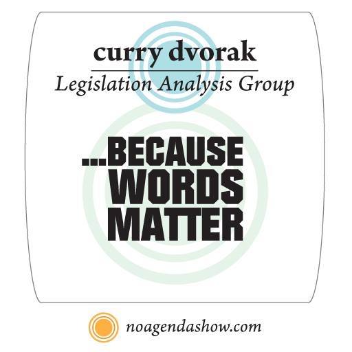 curry dvorak legislation analysis group by Thijs Brouwers