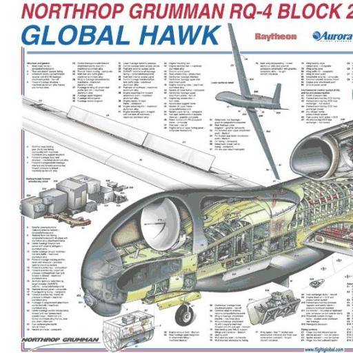 Global Hawk by Macphisto