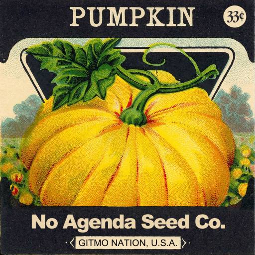 Pumpkin Seeds by bocomoj