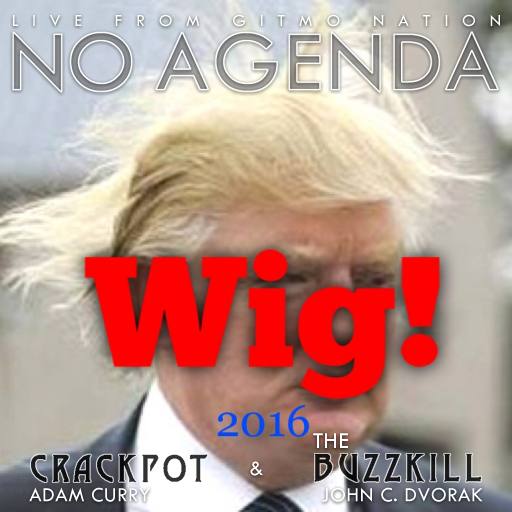 Wig! 2016 by catkin840