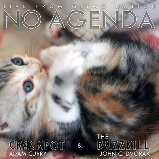 Even cats love No Agenda by drwhovianzrule