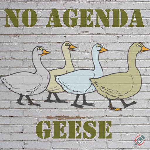 NA Geese by Cesium137