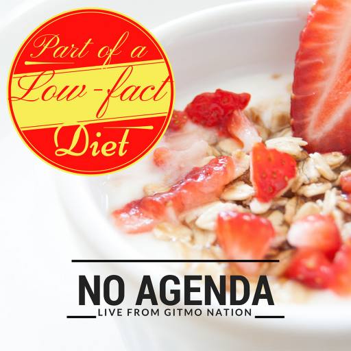 Low-Fact Diet by Melvin Gibstein