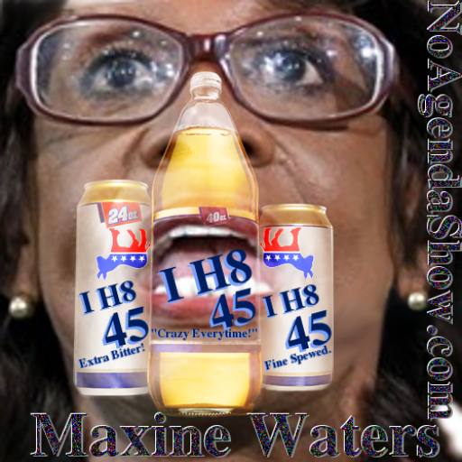 Maxine Waters I H8 45! by blitzed