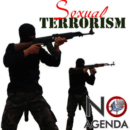 Sexual Terrorism by Melvin Gibstein