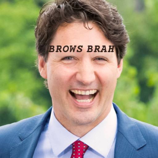 Trudeau Brows Brah! by blitzed