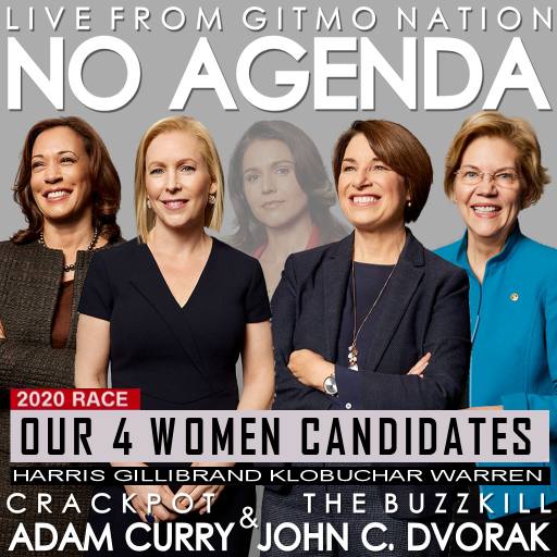 2020 4 Women Candidates by MartinJJ