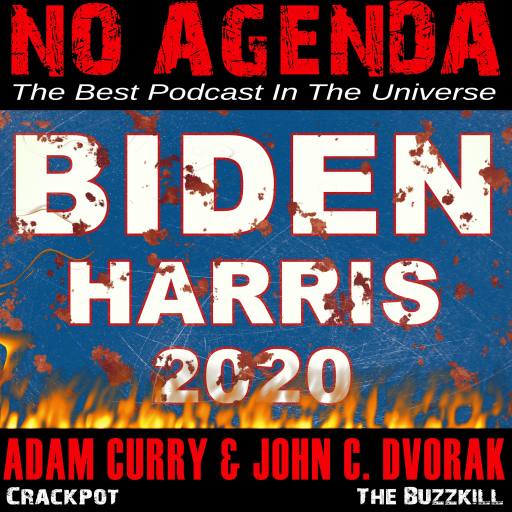 Biden Harris 2020 No More by Darren O'Neill