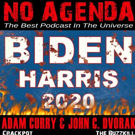 Biden Harris 2020 by Darren O'Neill