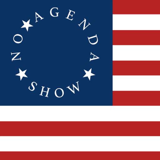 NO AGENDA BESTY FLAG by noagendashop