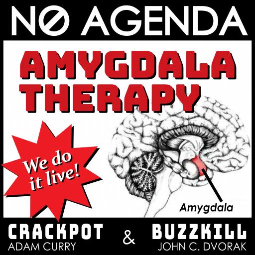 Amygdala Therapy done LIVE! by MountainJay