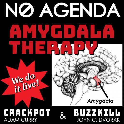 Amygdala Therapy LIVE! by MountainJay