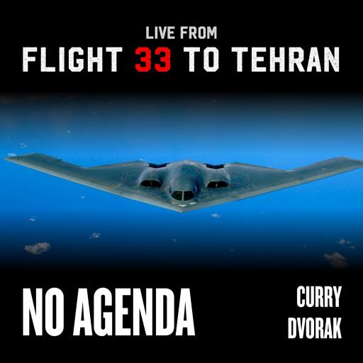 Flight 33 to Tehran by Larry Dane