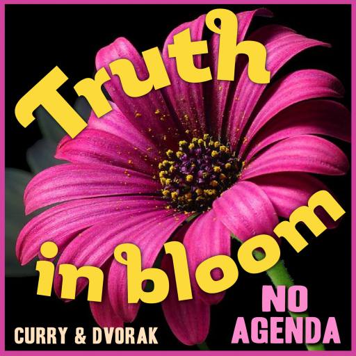 Truth in bloom by MountainJay