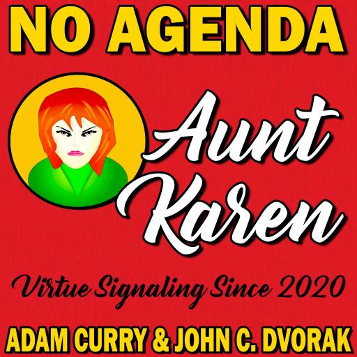 Aunt Karen - Virtue Signaling Since 2020 by Darren O'Neill