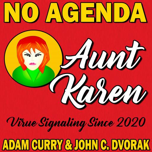 Aunt Karen by Darren O'Neill