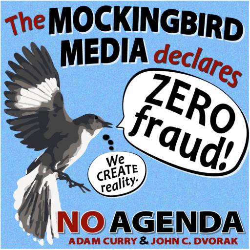 Mockingbird Media declares "Zero Fraud!" by MountainJay