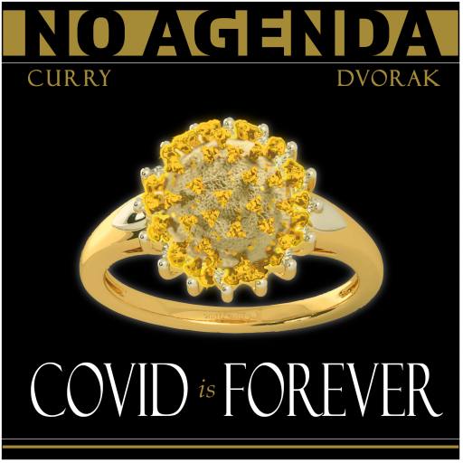 COVID is FOREVER by MountainJay