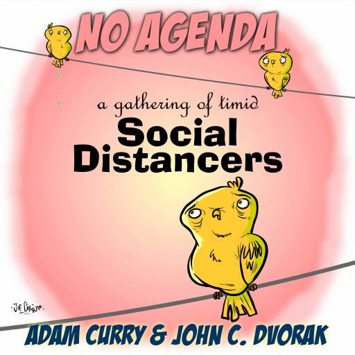 Timid Social Distancers by Joe Corrao