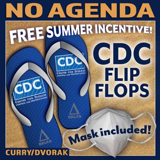 CDC Flip Flops by MountainJay