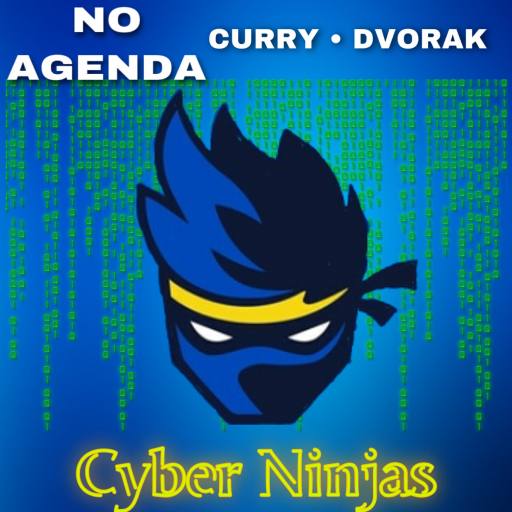 Cyber Ninjas by Dame Kenny-Ben 