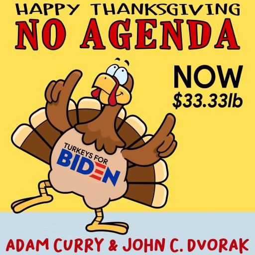Turkeys For Biden by Darren O'Neill