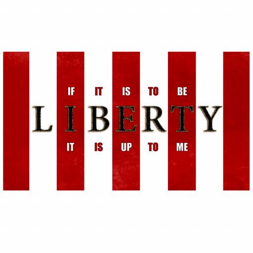 LIBERTY FLAG by JGFRANKLIN