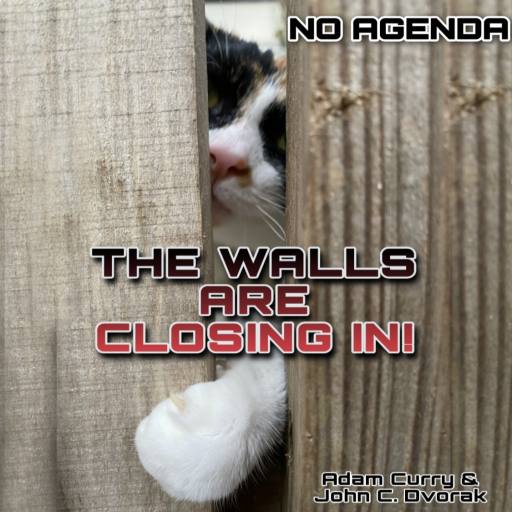 The Walls Are Closing In by Loretta Corbeanu