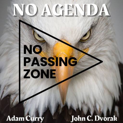 NO PASSING ZONE by Dame of the Absurd