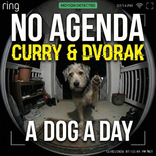 A dog a day by Jeffrey Rea